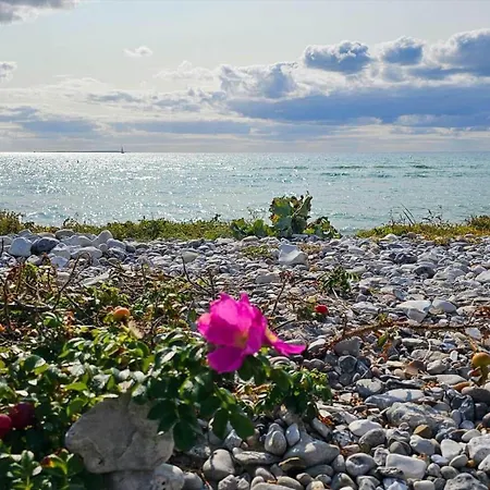 84217-ebeltoft-oreflippen-61 Feriehus