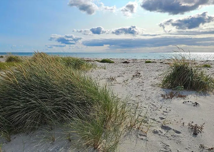 84217-ebeltoft-oreflippen-61 Semesterbostad