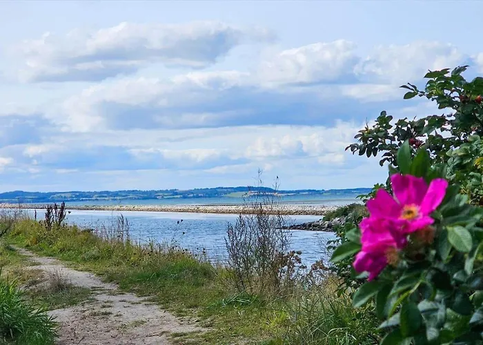 84217-ebeltoft-oreflippen-61 Semesterbostad *