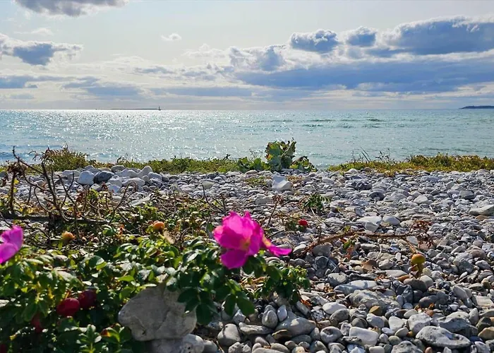 84217-ebeltoft-oreflippen-61 Semesterbostad