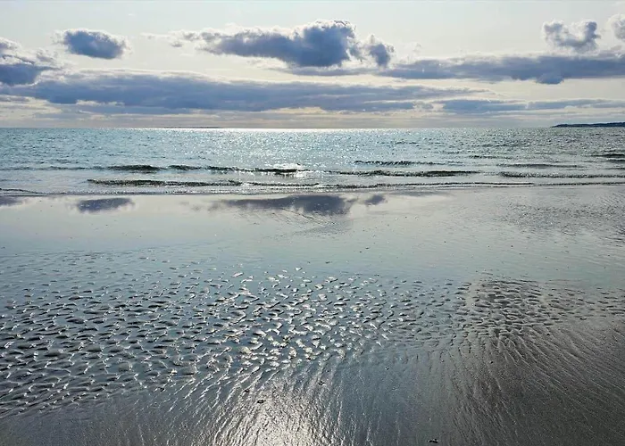 Semesterbostad 84217-ebeltoft-oreflippen-61